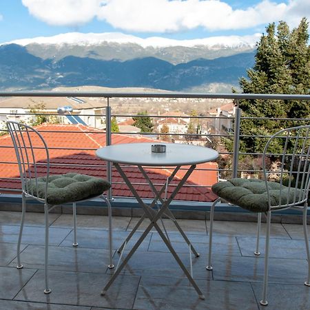 Lovely Guesthouse - 58M2 Mountain View ヨアニナ エクステリア 写真
